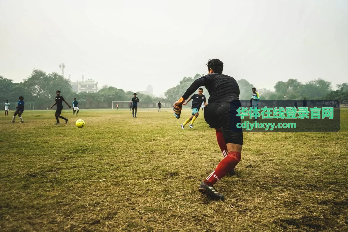 多屏同看与画质设置示意封面